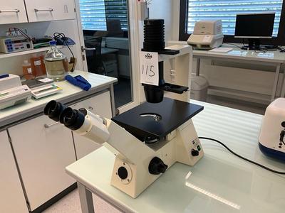Immagine panoramica di Zeiss Axiovert 40 CFL phase contrast inverted microscope